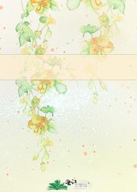 ˫